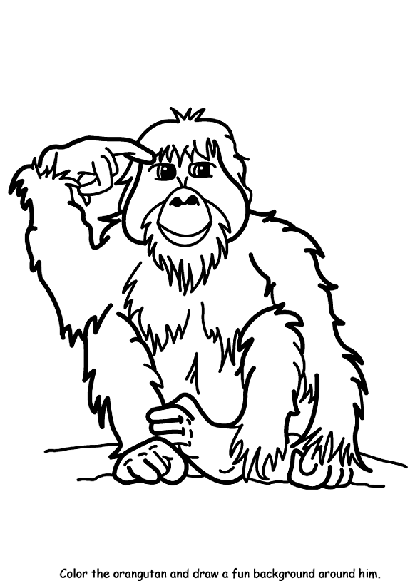582x815 Orangutan Coloring Page