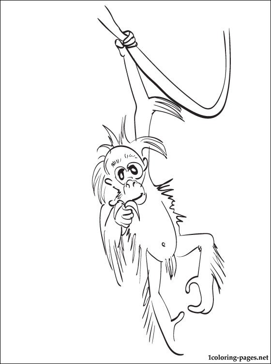 560x750 Orangutans Coloring Page Coloring Pages