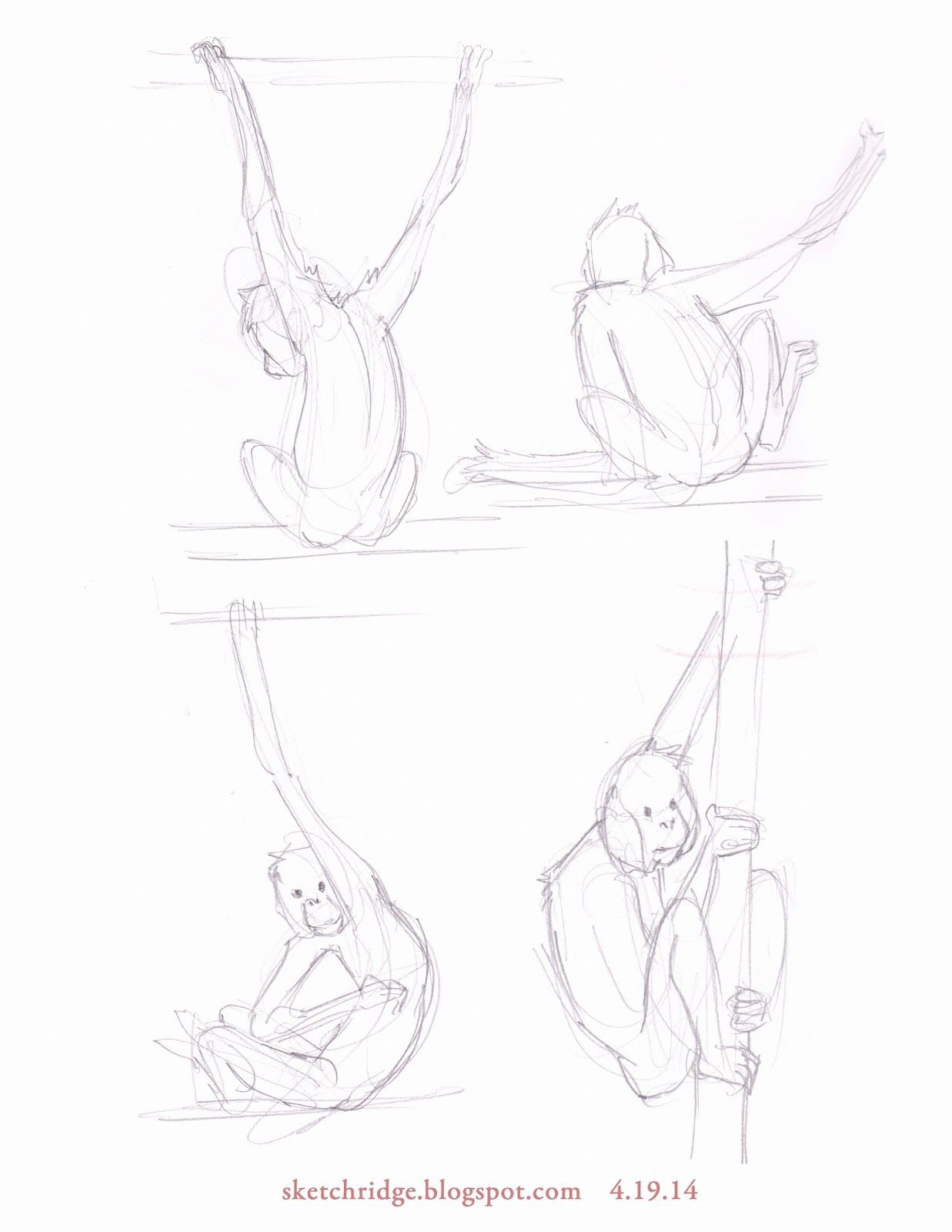 1237x1600 Sketch Ridge