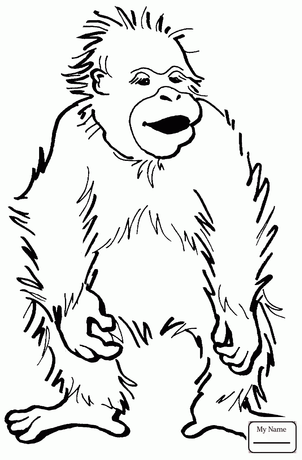 1004x1530 Coloring Pages Baby Orangutan Orangutans Mammals