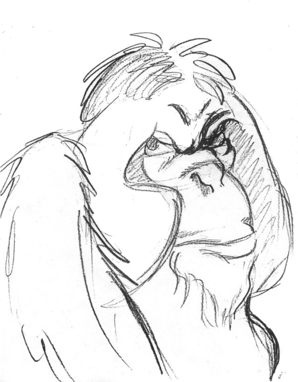 600x768 Orangutan Sketch By Joe5art