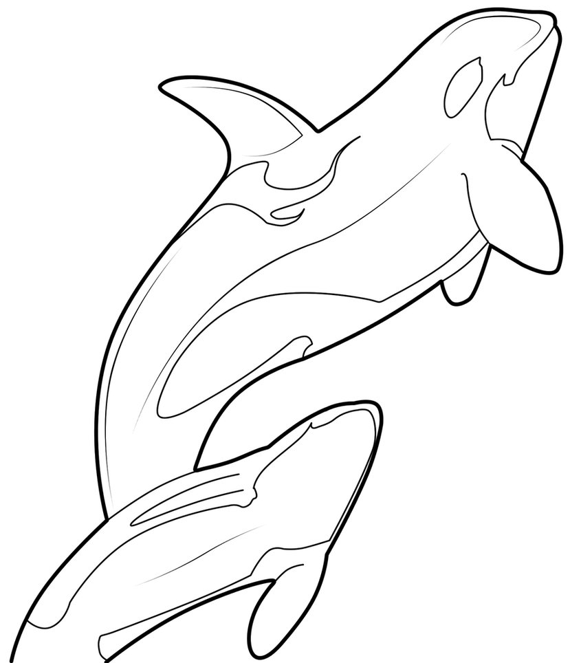 829x964 Orca Drawing Azure And Dorio