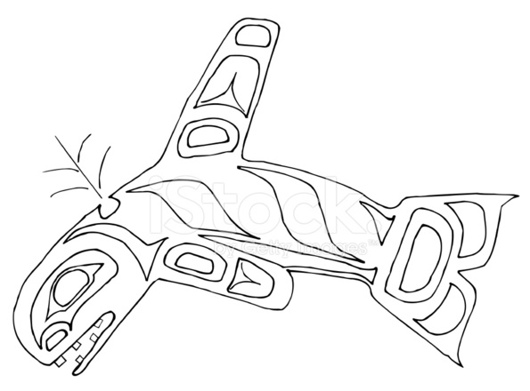 595x440 Pacific Northwest Orca Line Drawing Stock Vector