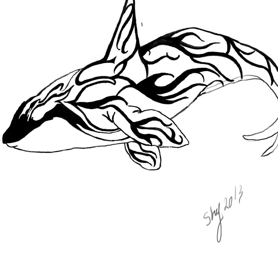 894x894 Tribal Orca By Shycelt