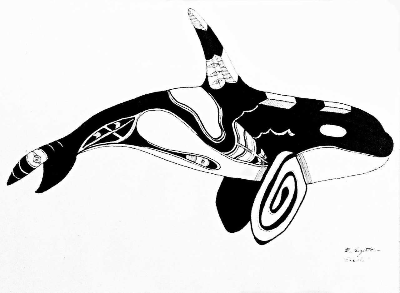 1280x938 Illustrations Orca Whale Drawing, Pen Ink Art, Black