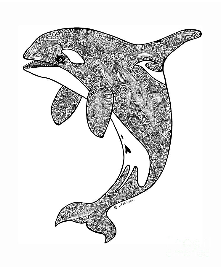 746x900 Drawing By Carol Lynne