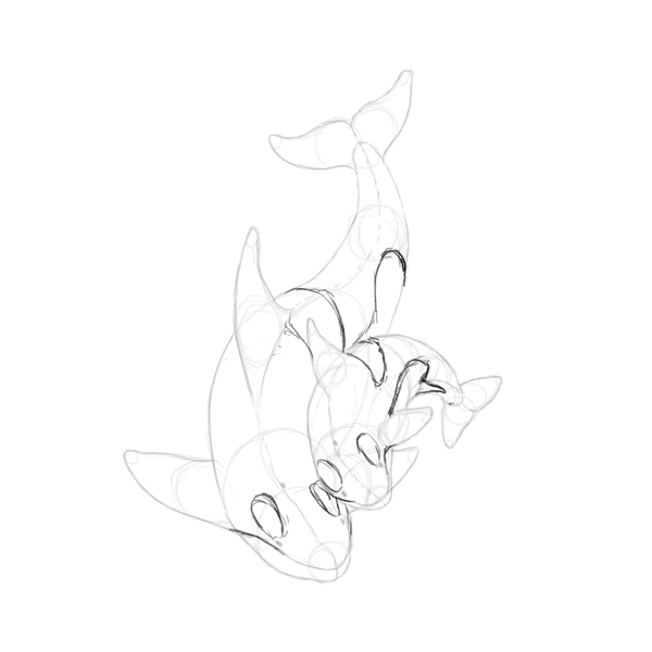 600x600 How To Draw Animals Dolphins, Whales And Porpoises