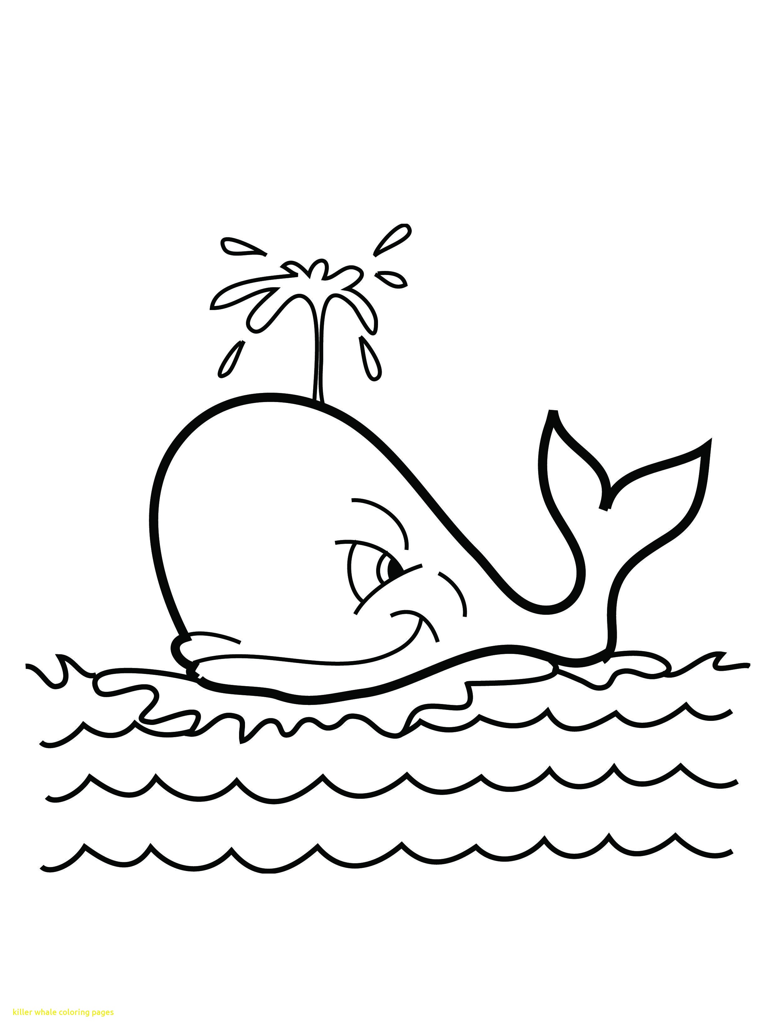 2480x3292 Killer Whale Coloring Pages With Free Printable Whale Coloring