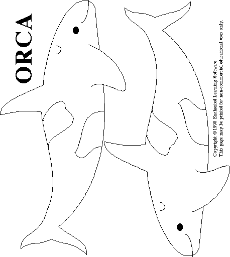 458x512 Orca Or Killer Whale Print Out