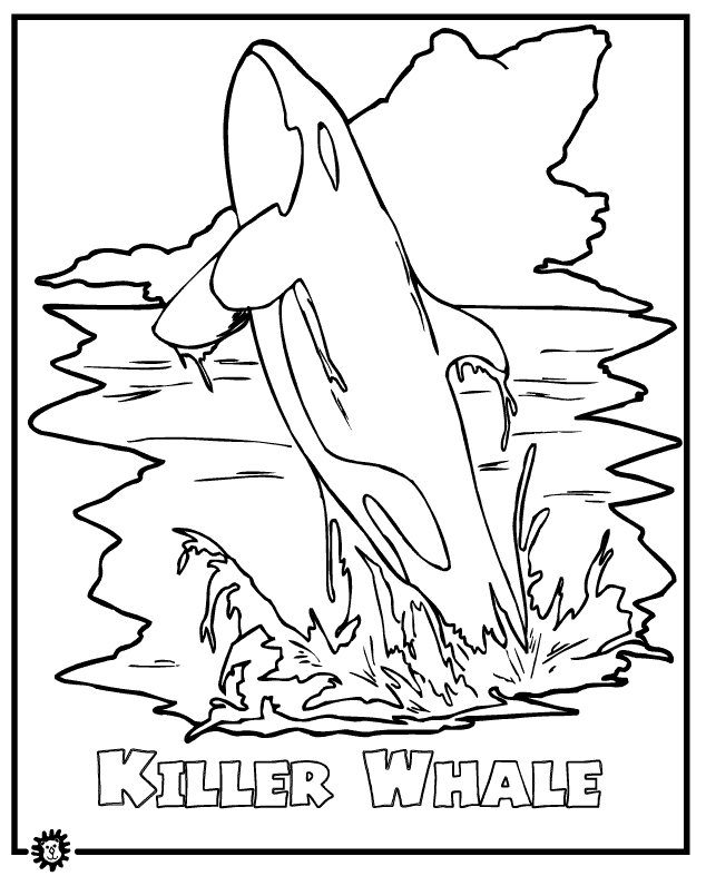 634x787 Killer Whale Coloring Pages Killer Whale Orca Coloring Page