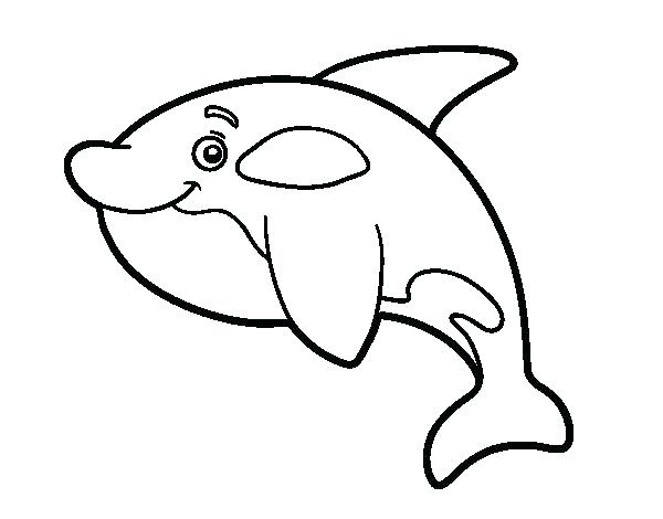 600x470 Orca Whale Coloring Pages