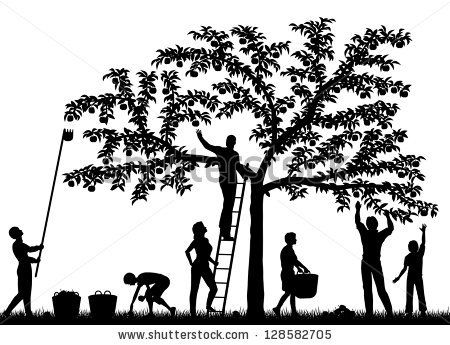 450x345 Editable Vector Silhouettes Of Family Harvestingpples