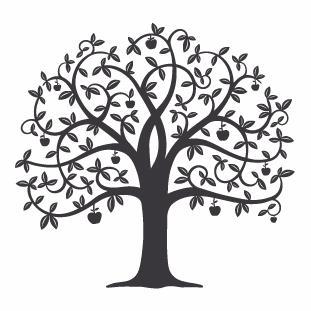 311x311 The Orchard (@orcharddining) Twitter