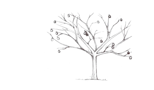 520x303 The Orchard Middbeat