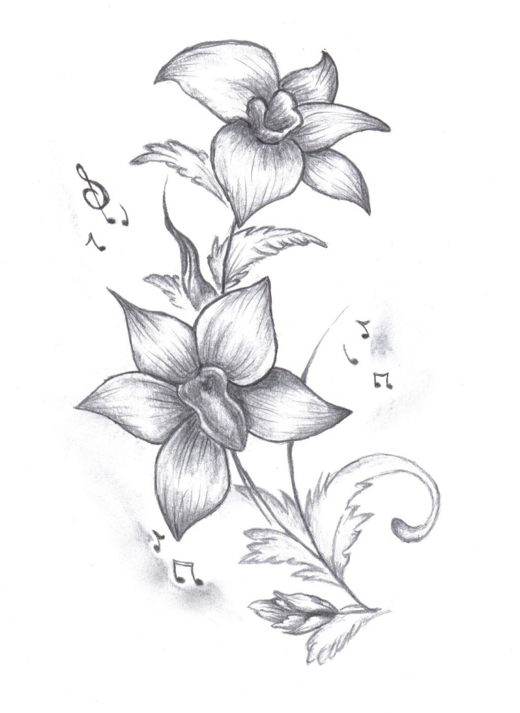 746x1024 Pencil Drawings Of Orchids Pencil Drawings Of Orchids Drawing