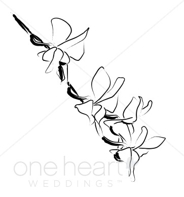 363x388 Summer Orchid Sketch Wedding Orchid Clipart