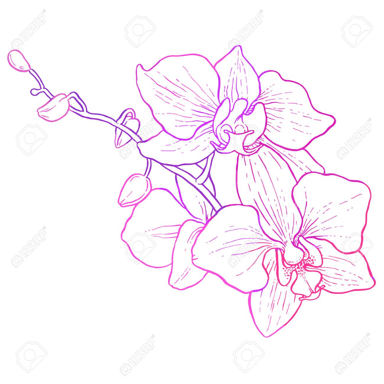 1300x1300 Hand Drawing