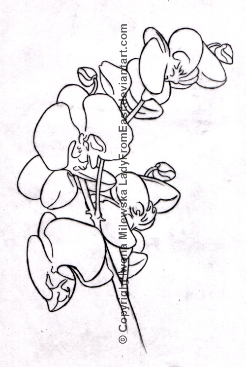 500x744 Orchid Design Tattoo