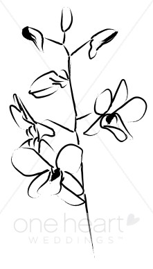 221x388 Orchid Clipart Sketch