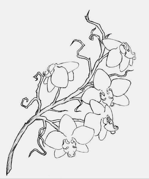 498x600 Outline Orchid Flower Tattoo Design