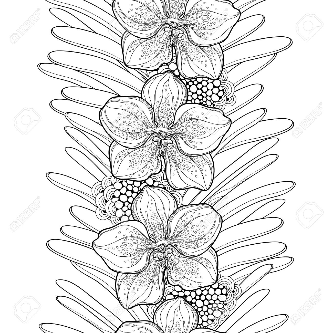 1300x1300 Seamless Pattern With Outline Vanda Orchid Flower And Leaves