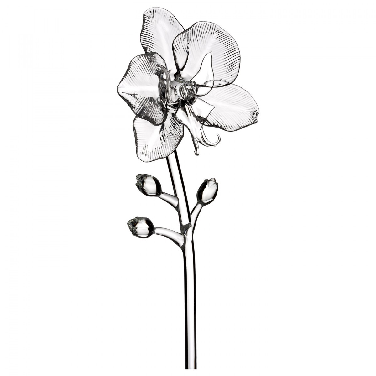 1200x1200 Fleurology Jeff Leatham Flowers Orchid