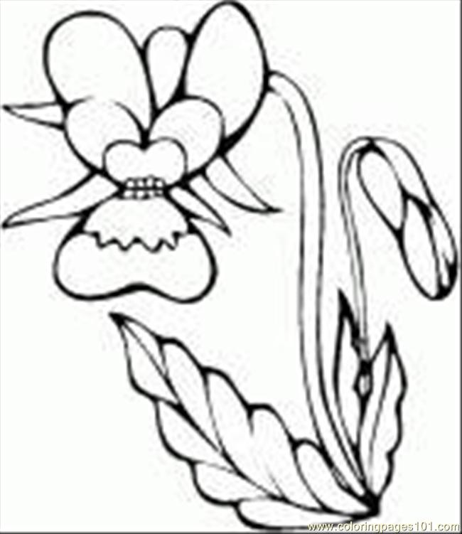 650x751 Orchid Flower Coloring Page