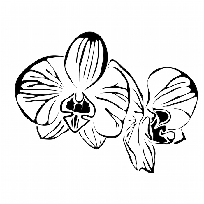 700x700 Orchid Tattoo Meaning
