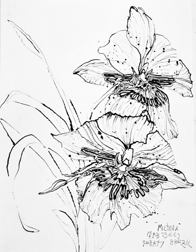 390x500 Christian Peltenburg Brechneff Flower Drawings