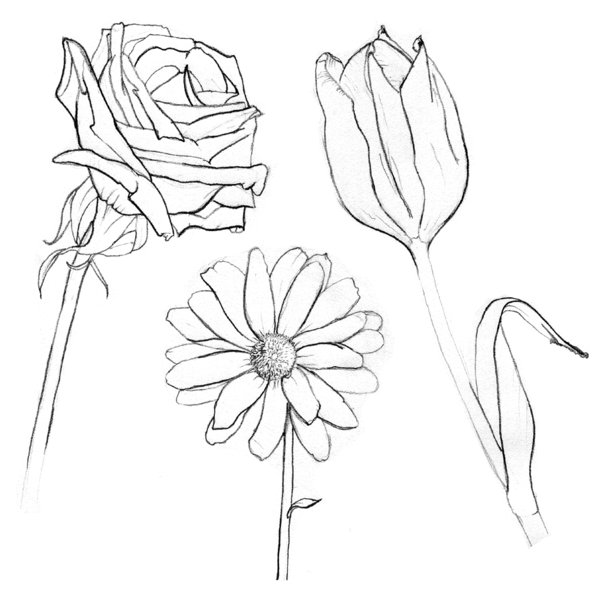 600x592 Flower Bunch