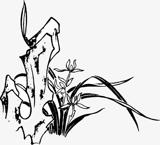 650x589 Rockery Orchid Line Drawings, Rockery, Orchid, Right Amount Png