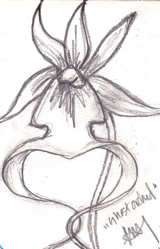 514x800 Sketch Please Orchid