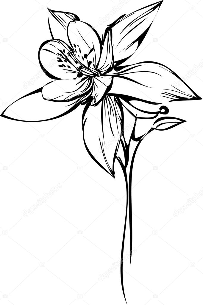 682x1023 Small Orchid Stock Vector Artex67