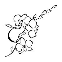 200x200 Drawn Orchid Simple