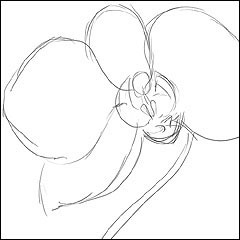 Orchid Pencil Drawing at GetDrawings | Free download