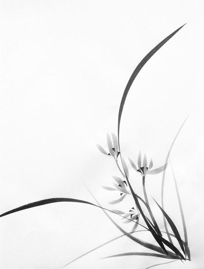418x550 Sumi E (Japanese Ink Painting) Orchid, By Valeria Viscardi