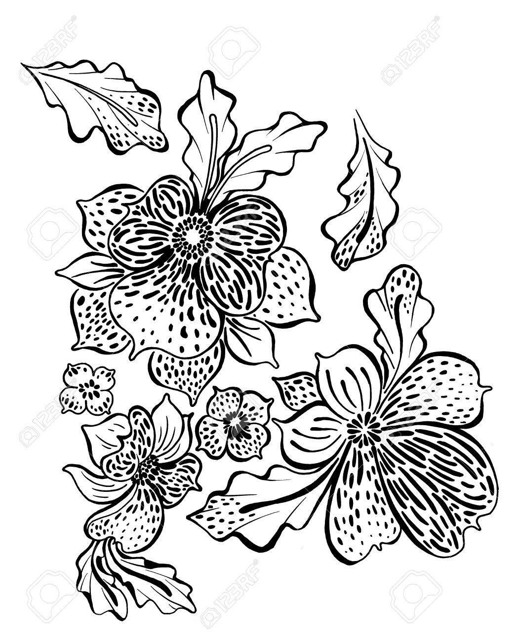 1051x1300 Outline Drawing Of Exotic Flowers Orchids And Leaves Stock Photo