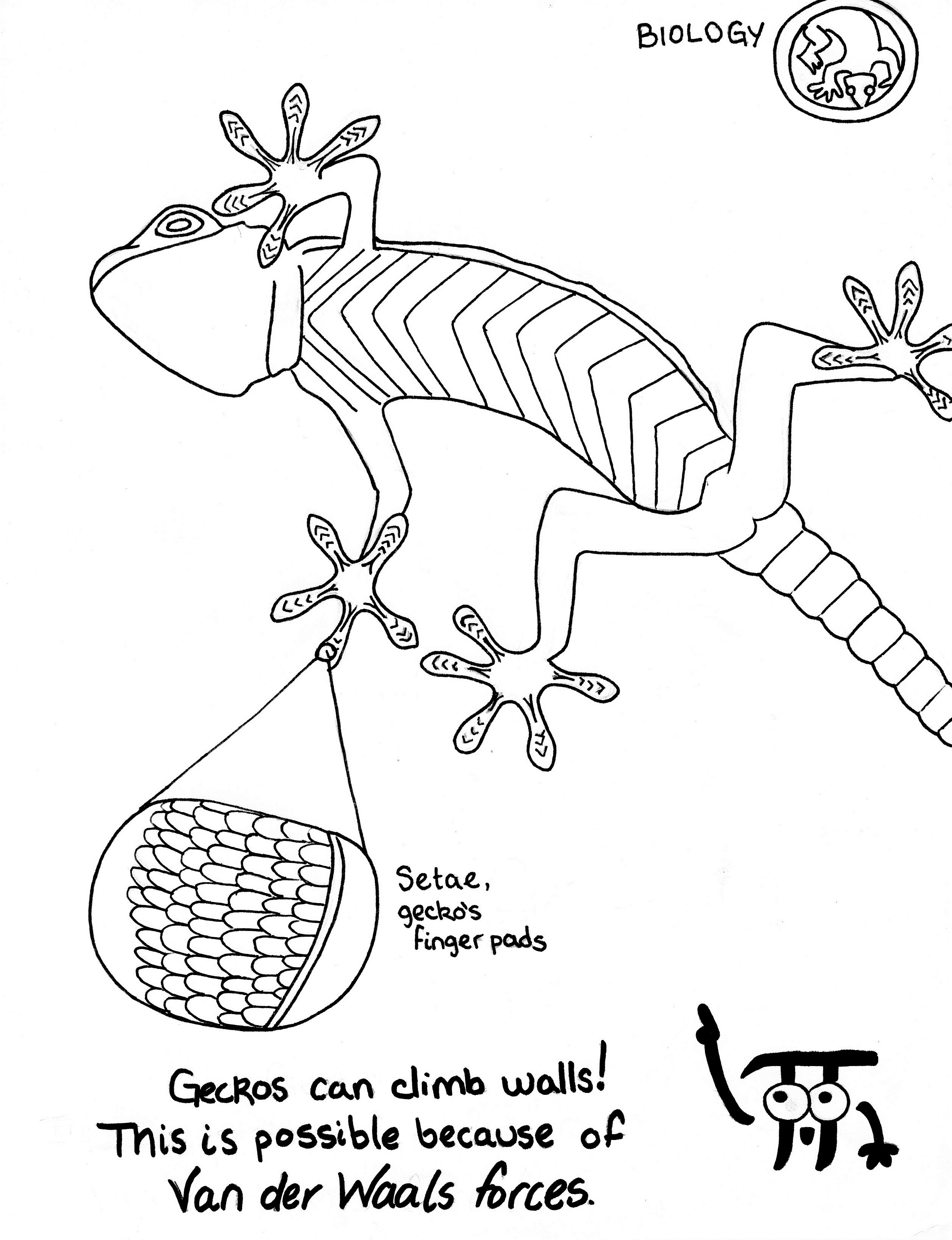 2512x3272 2. Biology Organic Chemistry Extra Credit Coloring Book