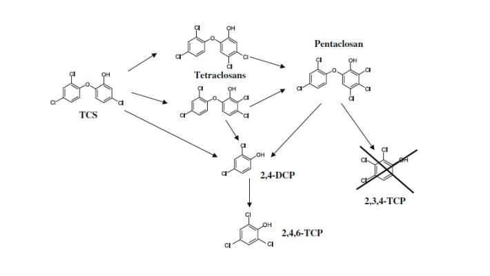710x400 Organic Chemistry