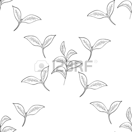 450x450 Green Tea Leaf Illustration, Branch Organic Hand Drawing Sketch