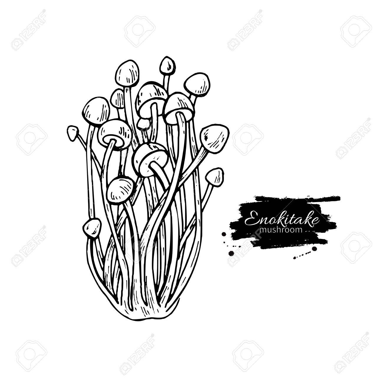 1300x1300 Enokitake Mushroom Hand Drawn Vector Illustration. Sketch Food