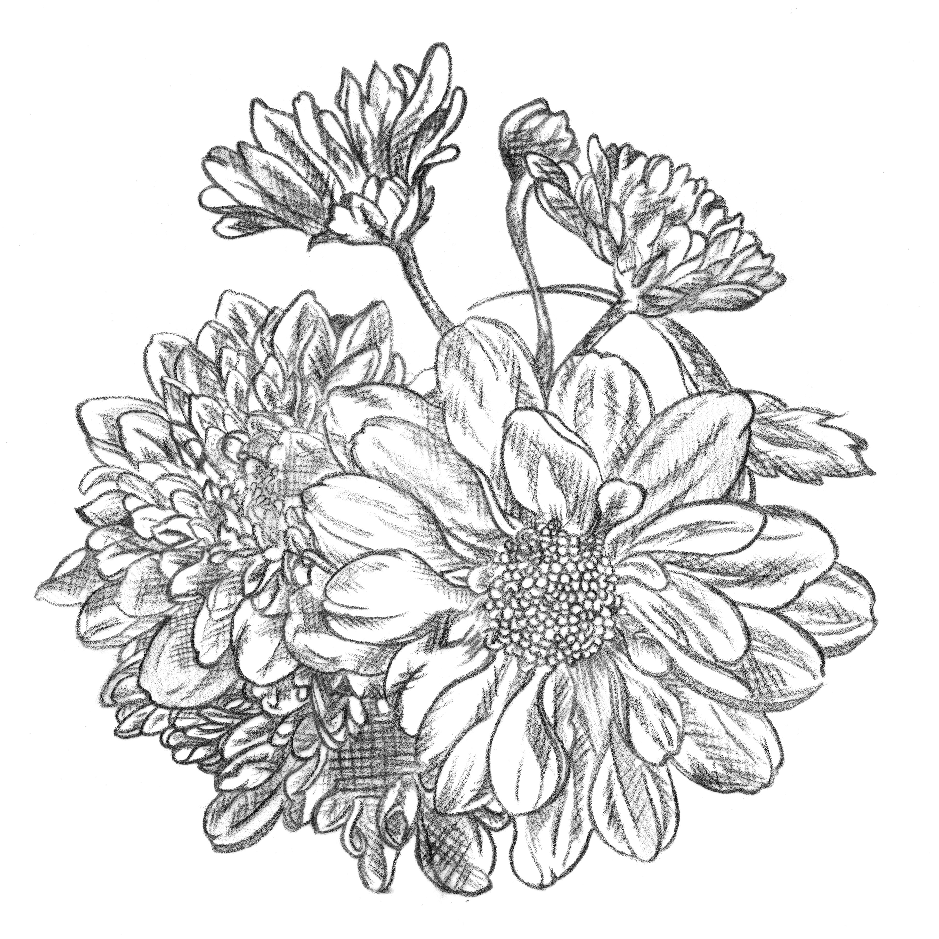 3640x3640 Flowers I Drew For My Mom On Her 60th Birthday.