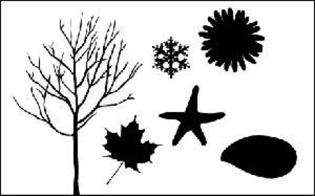 625x390 Simple Organic Shape Drawing World Of Example