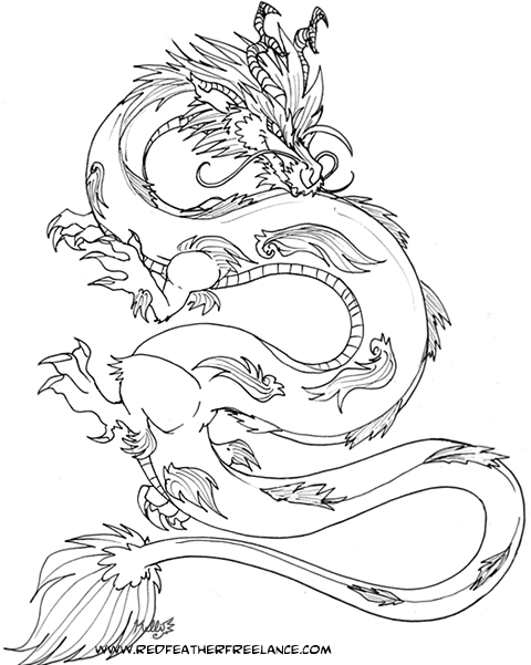 480x601 Oriental Dragon