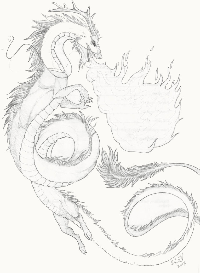 765x1044 Oriental Dragon By Caerulai