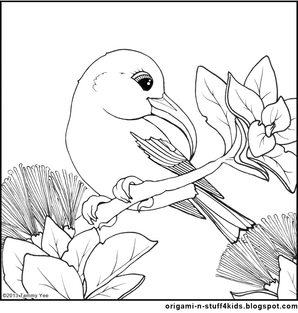 1000x1051 Origami N' Stuff 4 Kids Coloring Hawaiian Honeycreeper ('I'Iwi)