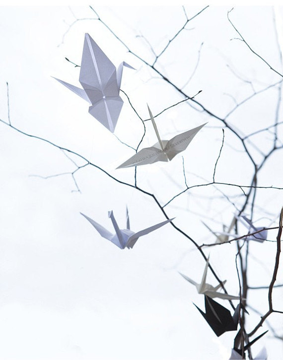 570x726 Origami Crane Peace Sky Branches Tree Fine Art Photo