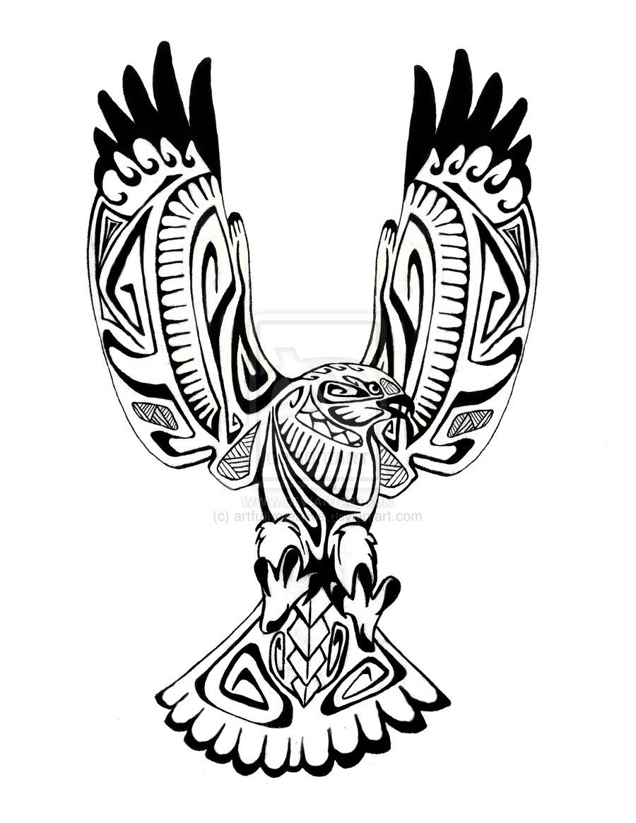 900x1165 Image Result For Osprey Line Drawing Tattoo Ideas