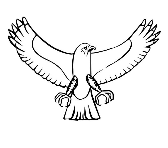 678x600 Osprey Coloring Page Kids Coloring