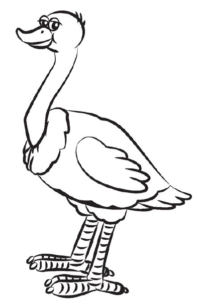 400x612 5. Trace With A Pen